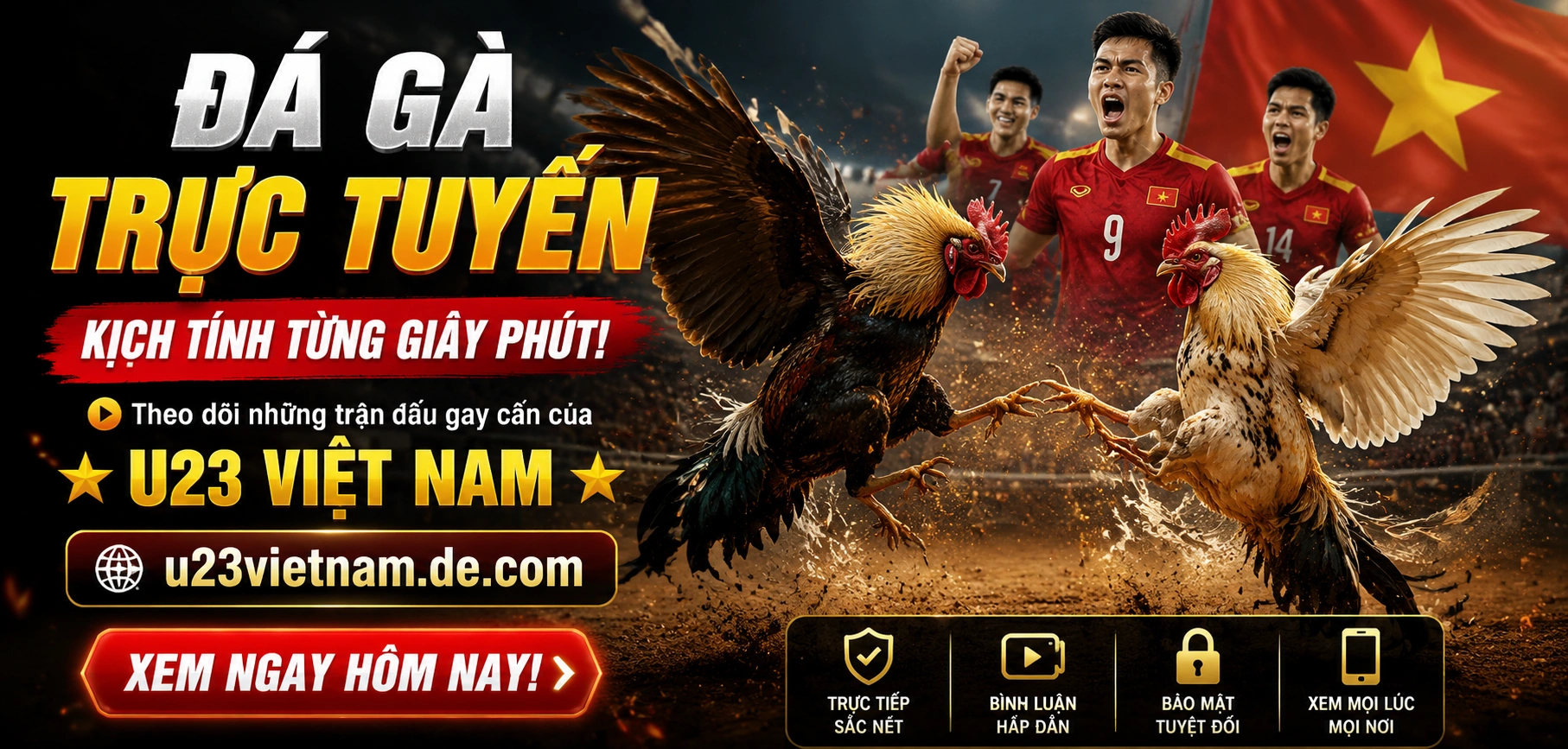 Đá gà trực tuyến với lịch đấu và tỷ lệ cửa rõ ràng