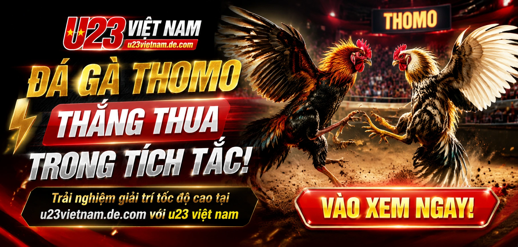 Góc xem trực tiếp đá gà với khung hình sáng và tỷ lệ cập nhật